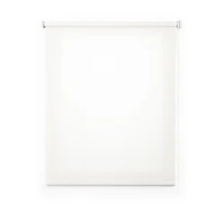 Estor enrollable Traslúcido Blanco