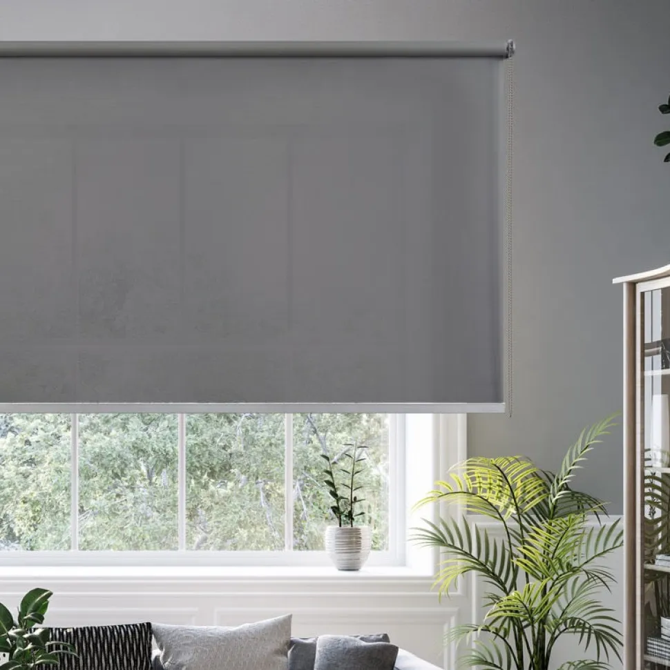 Estor enrollable Traslúcido premium Gris